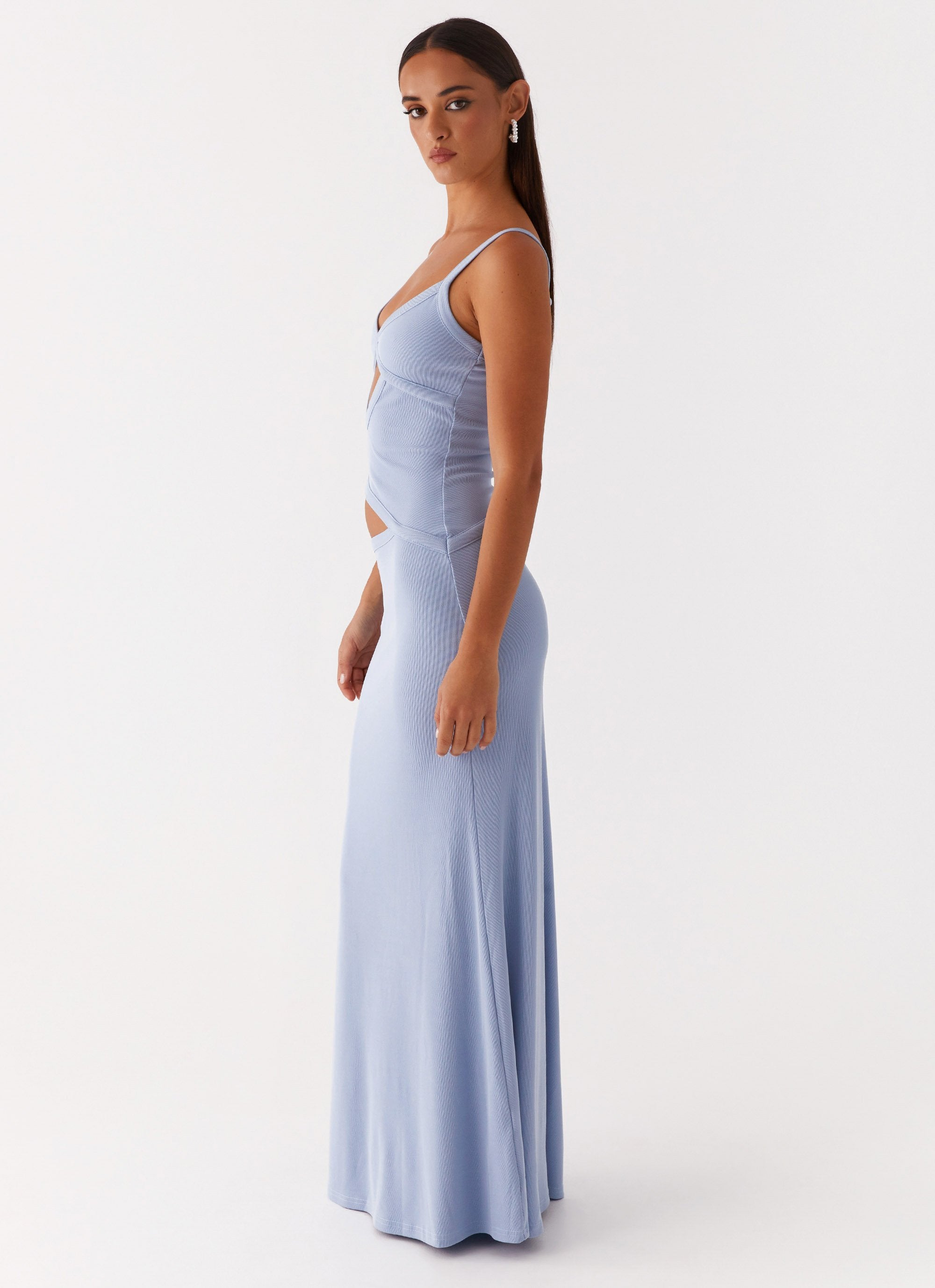Willa | Mesh Maxi Dress
