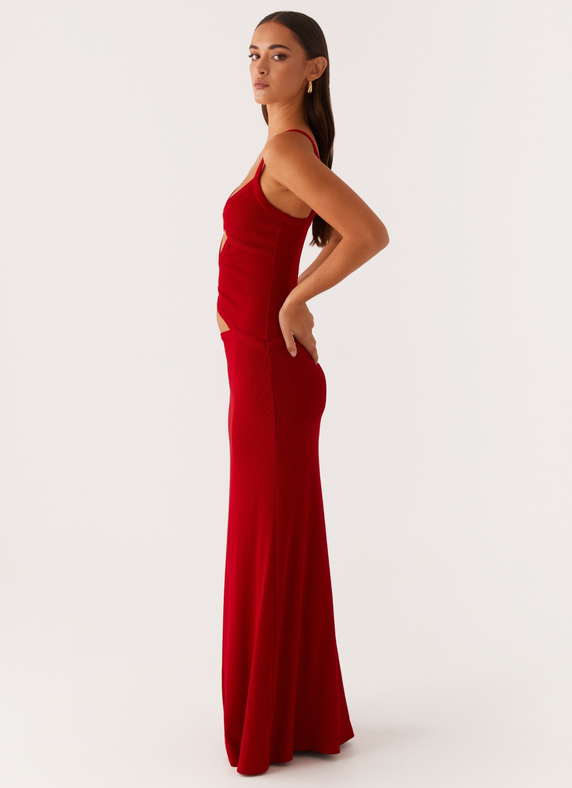 Willa | Mesh Maxi Dress